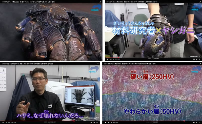 提供した動画の一部